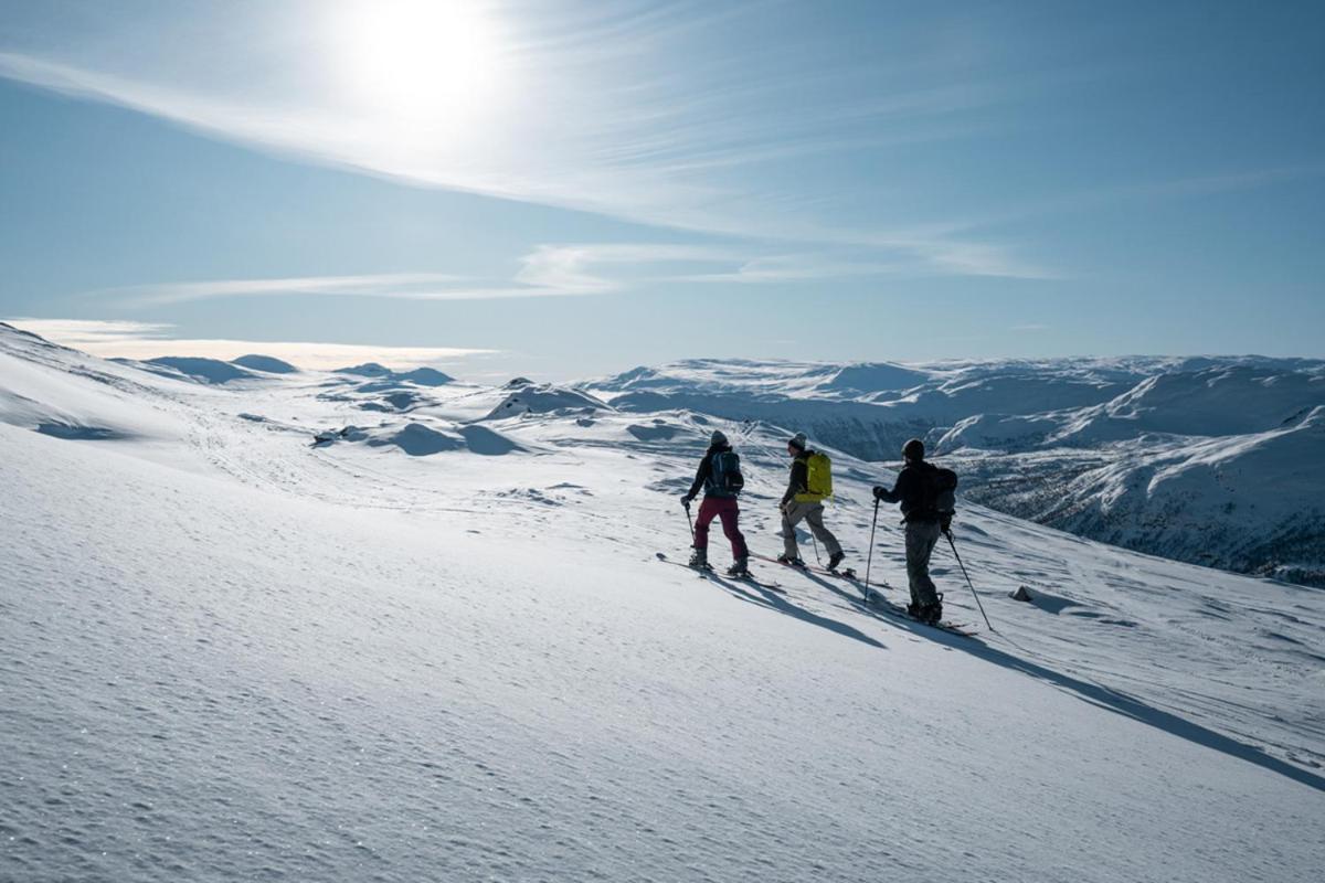 Harahorn Fjellgard Ξενοδοχείο Grøndalen Εξωτερικό φωτογραφία