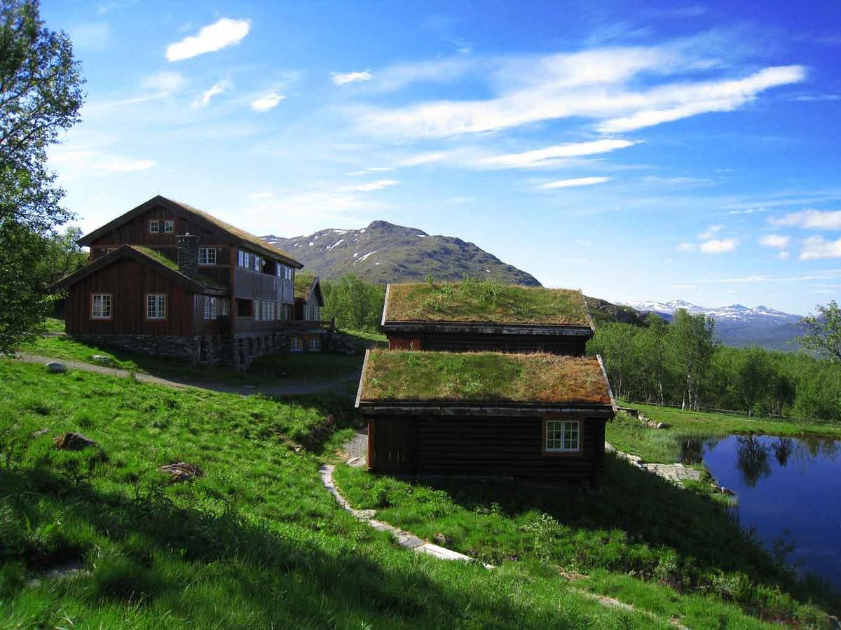 Harahorn Fjellgard Ξενοδοχείο Grøndalen Εξωτερικό φωτογραφία